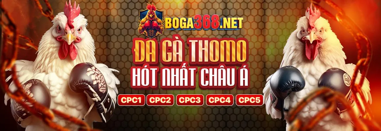 Hình ảnh minh họa dấu hiệu vấn đề cờ bạc