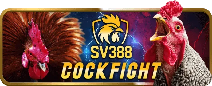 Trò chơi đá gà